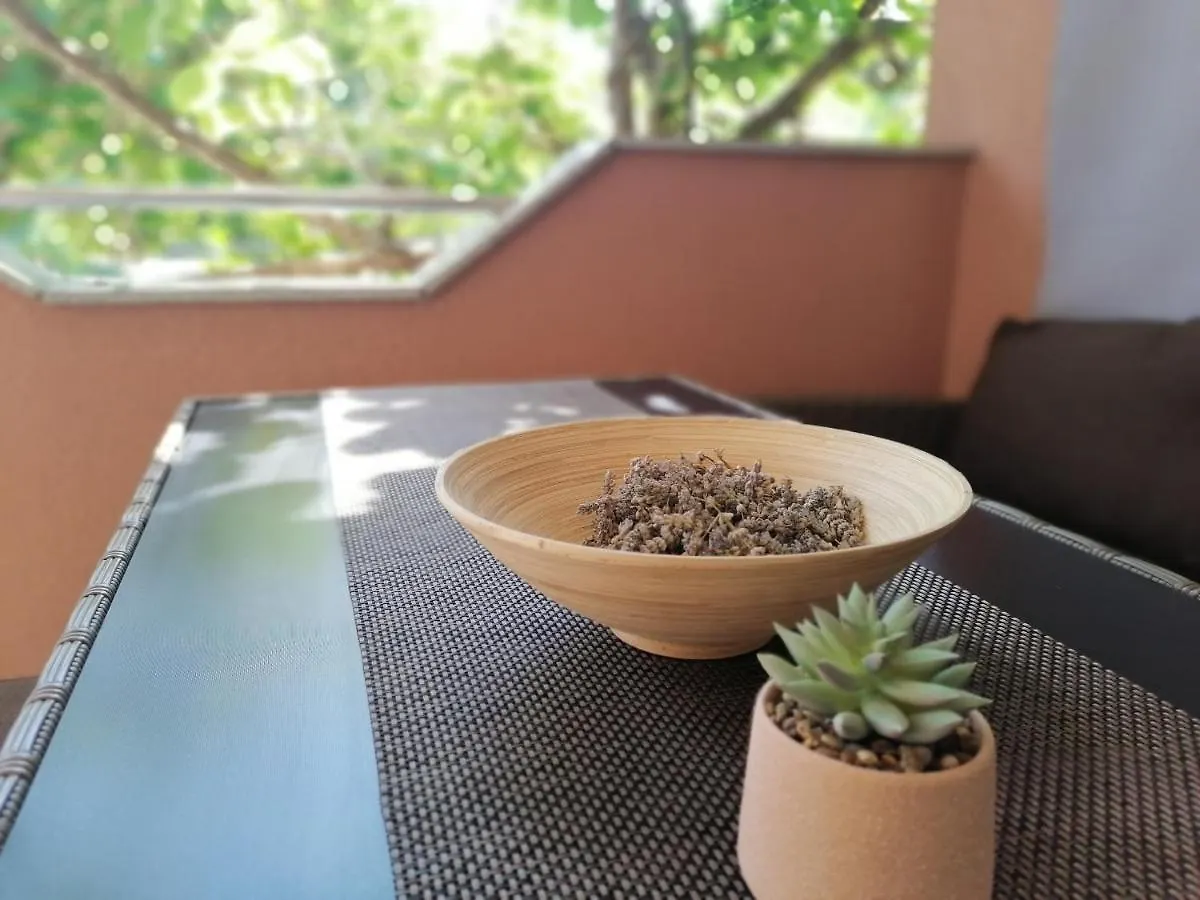 Apartmani Punta פאקוסטאן