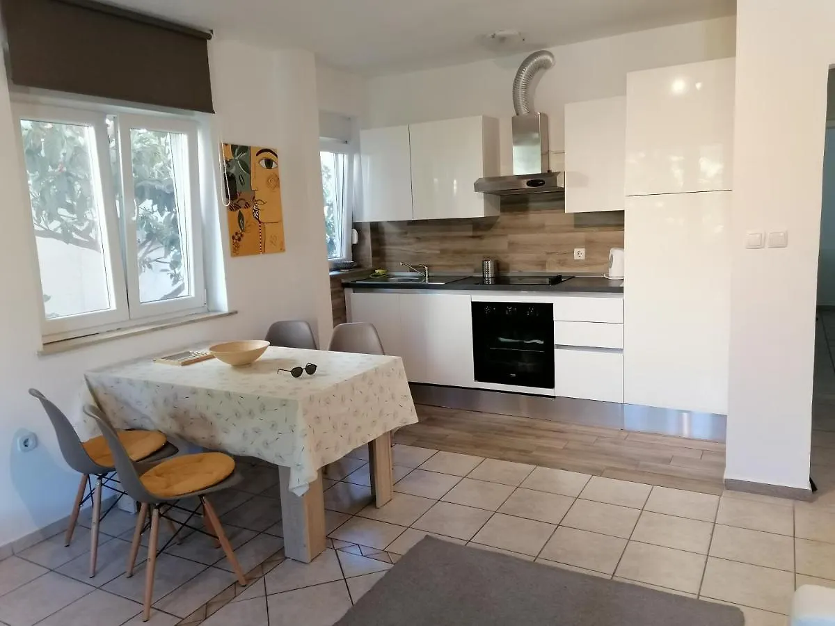 شقة Apartmani Punta باكوشتاني