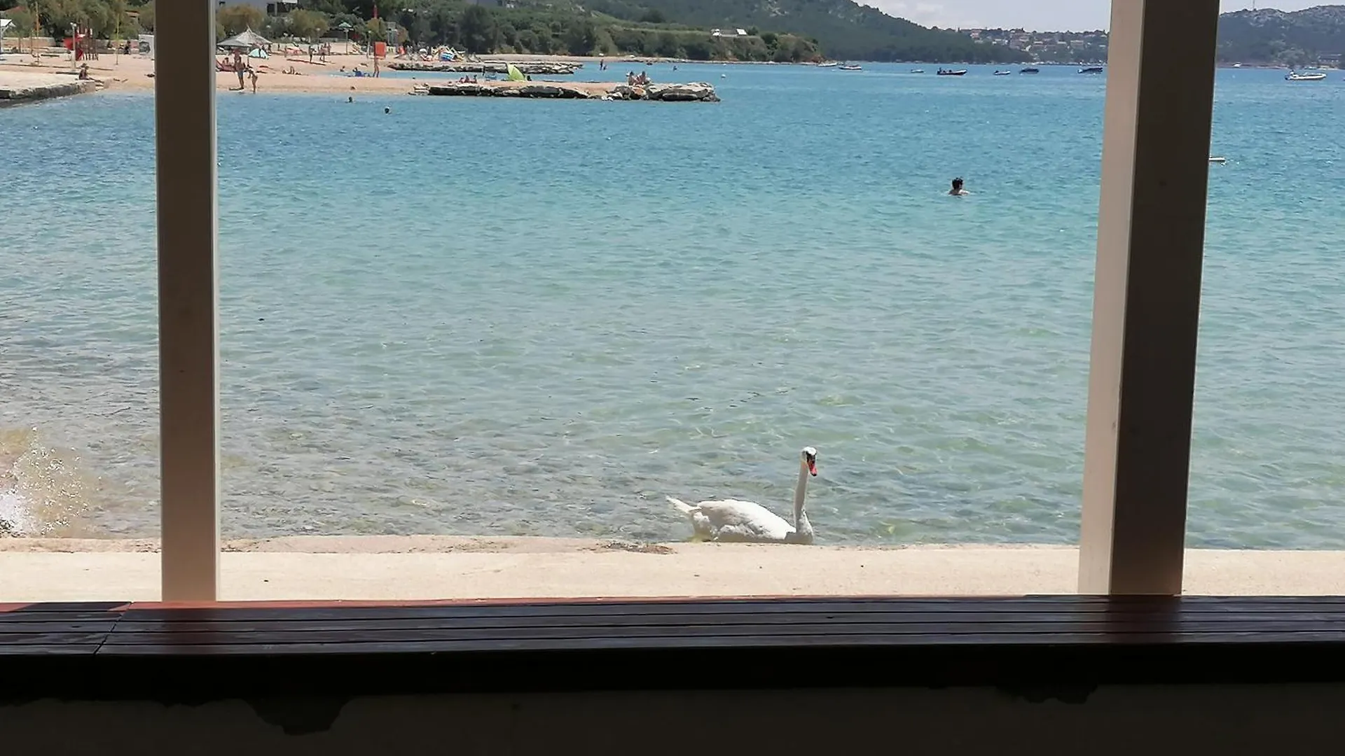 شقة Apartmani Punta باكوشتاني